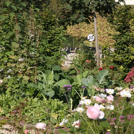住宿加早餐酒店 Chateau Manoir De La Leche 3*